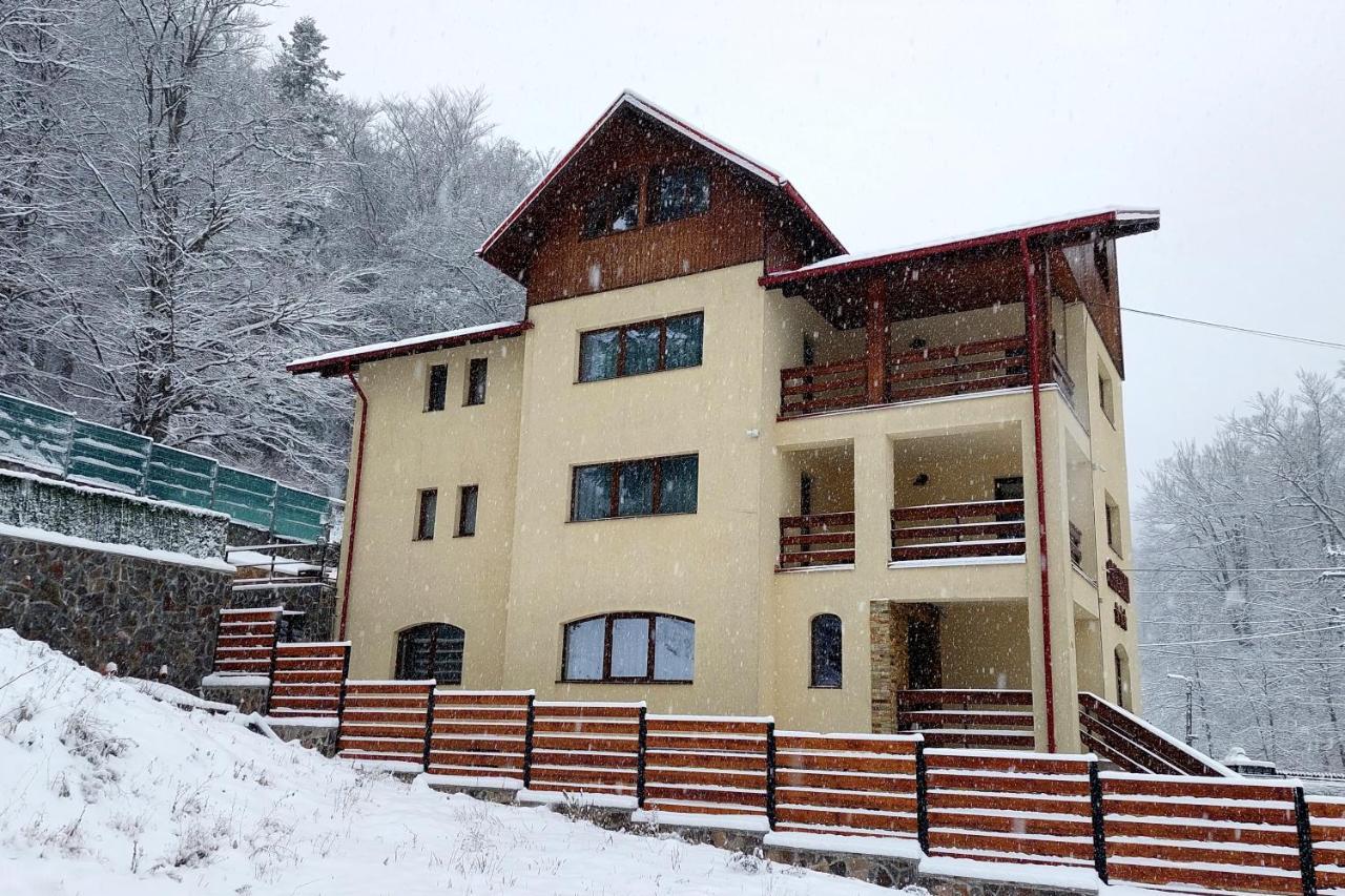 Hotel Casa Raisa Buşteni Esterno foto